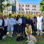 Torna la pet therapy per i pazienti oncologici del San Donato di Arezzo