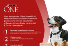 Il benessere del pet passa attraverso l’alimentazione e l’equilibrio del microbioma