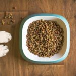 Kaspersky: furto di dati personali attraverso i distributori smart di cibo per animali domestici