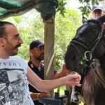 ASL Bari: oltre la malattia grazie ai cavalli murgesi dei Carabinieri Forestali