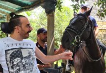 ASL Bari: oltre la malattia grazie ai cavalli murgesi dei Carabinieri Forestali