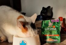 Ultima Petfood dona oltre 50mila pasti ad ENPA Emilia-Romagna