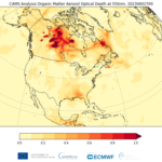 Le emissioni prodotte dagli incendi boschivi canadesi sono state le più alte mai registrate