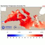 Oltre i 30°C: l’ondata di calore marino colpisce il Mediterraneo