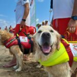 Natural Trainer e i suoi cani eroi al lavoro sulle spiagge italiane