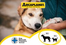 Arcaplanet ancora insieme a ENPA contro l’abbandono