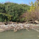Anche i fiumi vittime dei rifiuti dispersi