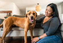 Pet sitter: in Italia lo scelgono gli amici a quattro zampe