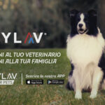 MyLav lancia lo spot radio e TV “Vicini al tuo veterinario, vicini alla tua famiglia”