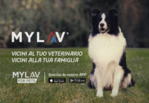 MyLav lancia lo spot radio e TV “Vicini al tuo veterinario, vicini alla tua famiglia”