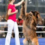 In Italia i Campionati Europei di Dog Dance