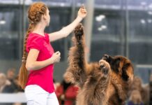 In Italia i Campionati Europei di Dog Dance