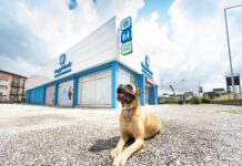 Arcaplanet acquisisce gli Ospedali Veterinari Happy Friends e MyPetClinic