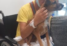 San Jacopo di Prato: in Neurologia gli evidenti effetti della pet therapy