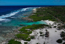 COP28: ENEA presenta l’Atlante degli habitat marini e costieri