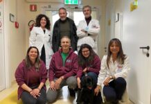 Al Policlinico di Modena la PET Therapy per i pazienti affetti da Sclerosi Sistemica e Fibrosi Polmonare