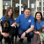 Un nuovo test monitora il progresso del cancro nei cani