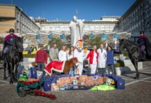 Il Gemelli a Natale con la FISE – Federazione Italiana Sport Equestri