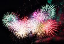 Cani e gatti a Capodanno: le reazioni ai botti