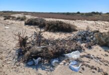 Iplastic: le cose da sapere sulle microplastiche e nanoplastiche in mare