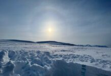 Cambiamento climatico: l’Artico sta perdendo la memoria