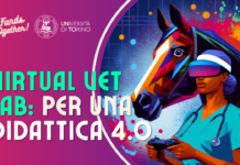 Innovazione nella formazione dei futuri veterinari: Virtual Vet Lab trasforma i metodi di apprendimento con la realtà virtuale