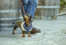 Da MyFamily la nuova collezione Apparel