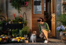 MyFamily sbarca nei cinema con lo spot “L’amore merita una medaglietta”