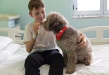 Riparte il progetto “Basta Una Zampa” nel reparto pediatrico dell’Azienda Socio Sanitaria Territoriale Santi Paolo e Carlo di Milano