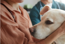 19 milioni di cani e gatti nelle case degli italiani: l’importanza dell’alleanza con il veterinario per preservarne la salute
