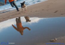 Baubeach: al via la mostra “Dimensioni di Relazione” di Claudia Candido