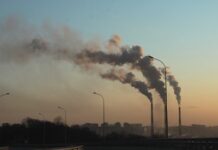 Emissioni di gas serra: trend in diminuzione in quasi tutti i settori