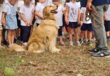 ASL Bari: le “prof” a quattro zampe insegnano le emozioni ai bambini