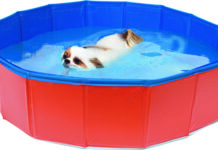 Arcaplanet presenta i nuovi prodotti per l’estate