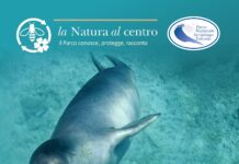 Il Parco Nazionale dell’Arcipelago Toscano presenta il Festival “La natura al centro”