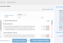 Nasce il Canine Cancer Genome Atlas per la diagnosi e il trattamento del cancro nei cani