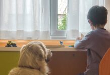 Purina e Frida’s Friends insieme per il progetto di pet therapy presso il Fatebenefratelli di Milano