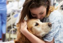 Al via anche al Policlinico San Marco il progetto “Quattro zampe in corsia”