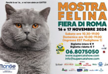 Torna a Roma il SuperCat Show