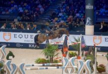 Fieracavalli: l’edizione 126 si chiude con 140mila visitatori