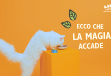 Lily’s Kitchen on air con la nuova campagna video