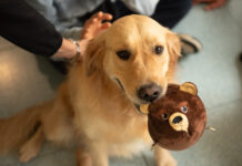 For a Smile Onlus ETS e Purina promuovono il progetto di Dog-Pet Therapy presso la Dental School di Torino