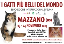 I GATTI PIU’ BELLI DEL MONDO arrivano a MAZZANO