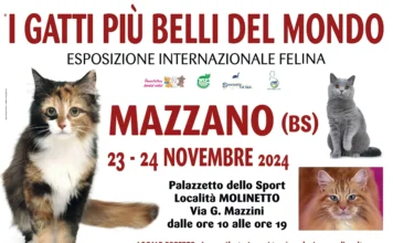 I GATTI PIU’ BELLI DEL MONDO arrivano a MAZZANO