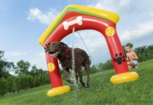 Bestway lancia la nuova linea Fetchin’ Fun