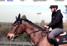 Vbite: il morso vibrante che migliora le performance del cavallo sbarca su Kickstarter