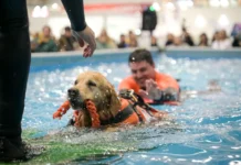 Quattrozampeinfiera Napoli 2025: un weekend indimenticabile per tutti gli amanti degli animali