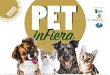 PET in Fiera torna a Pavia