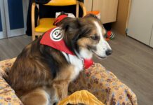 Purina e Frida’s Friends insieme per il benessere degli anziani della Residenza Fossati di Monza