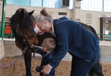 IL CAVALLO E LA CURA: la conferenza sugli interventi assistiti con animali